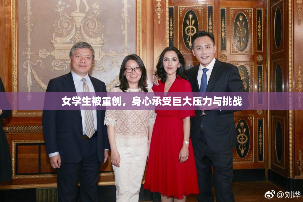 女学生被重创，身心承受巨大压力与挑战