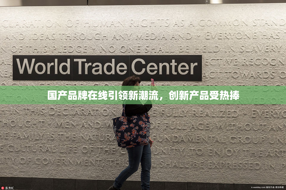 国产品牌在线引领新潮流，创新产品受热捧