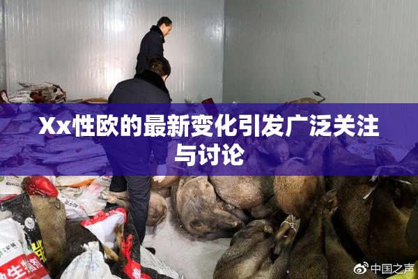 Xx性欧的最新变化引发广泛关注与讨论