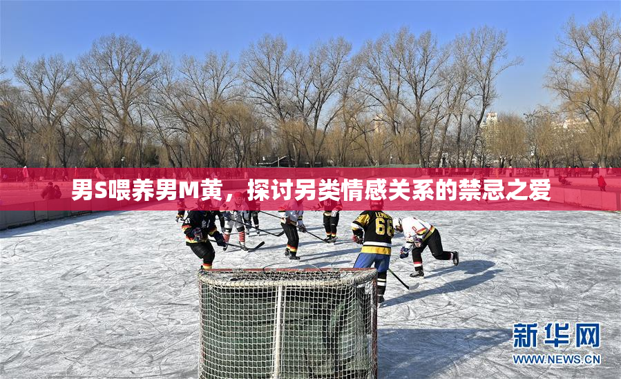 男S喂养男M黄，探讨另类情感关系的禁忌之爱