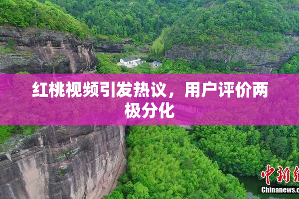 红桃视频引发热议，用户评价两极分化
