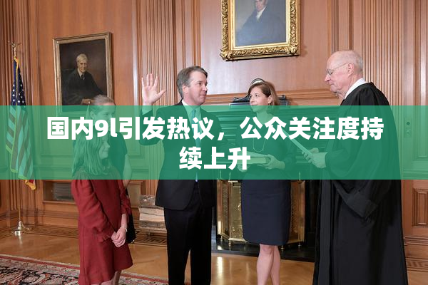 国内9l引发热议，公众关注度持续上升