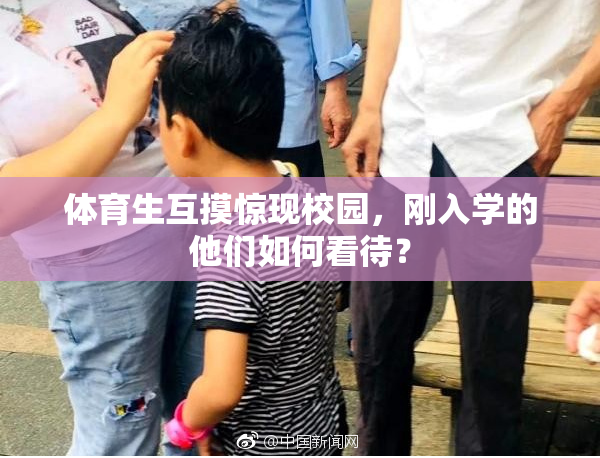 体育生互摸惊现校园，刚入学的他们如何看待？