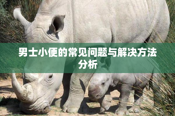 男士小便的常见问题与解决方法分析