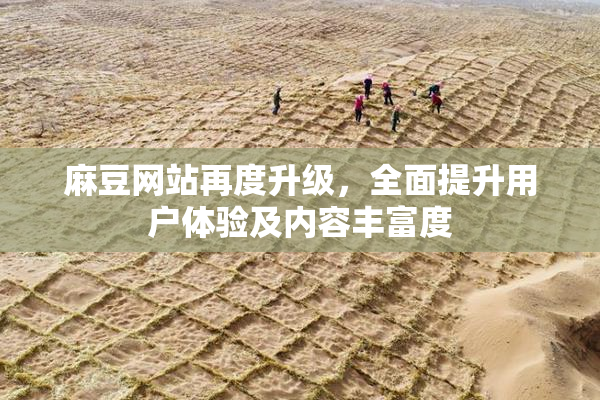 麻豆网站再度升级，全面提升用户体验及内容丰富度