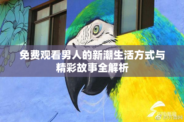 免费观看男人的新潮生活方式与精彩故事全解析