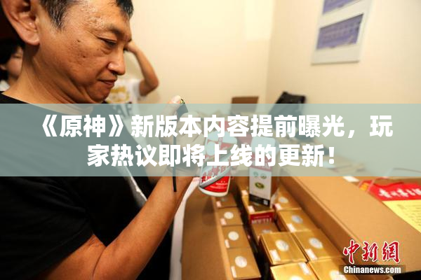 《原神》新版本内容提前曝光，玩家热议即将上线的更新！