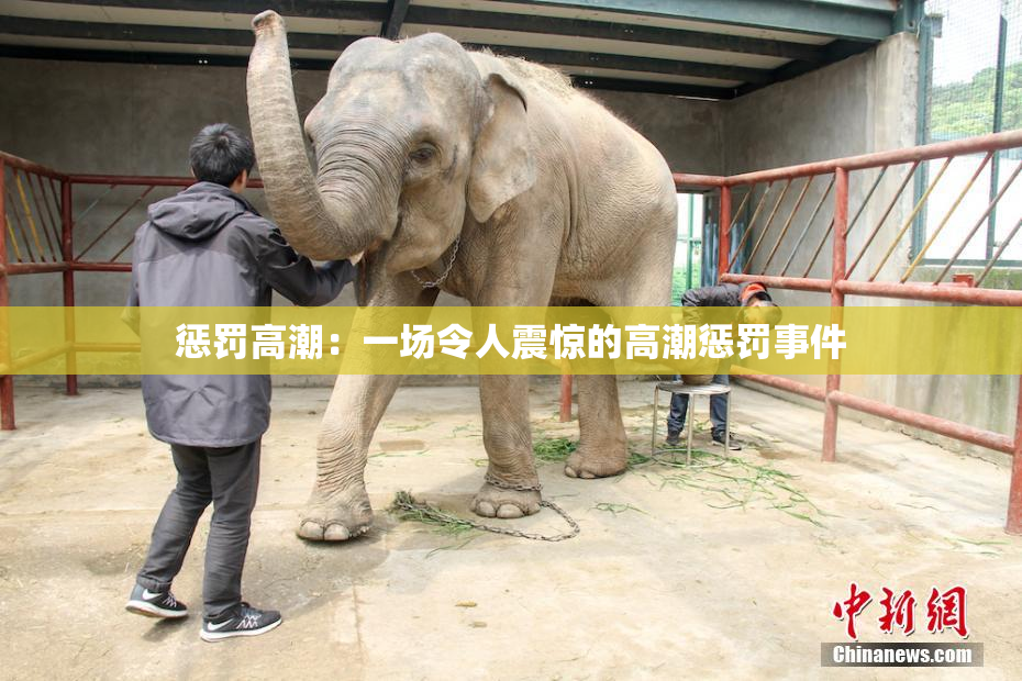 惩罚高潮：一场令人震惊的高潮惩罚事件