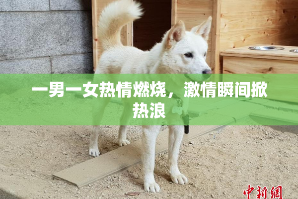 一男一女热情燃烧，激情瞬间掀热浪