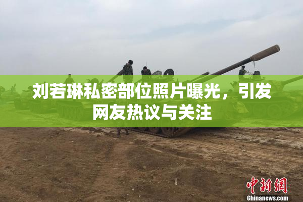 刘若琳私密部位照片曝光，引发网友热议与关注