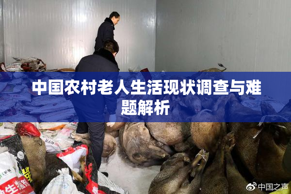 中国农村老人生活现状调查与难题解析