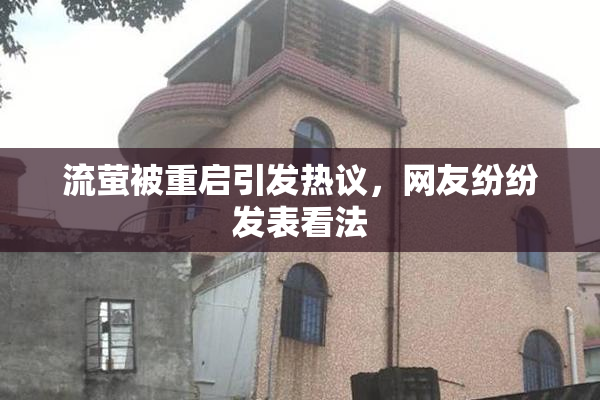 流萤被重启引发热议，网友纷纷发表看法