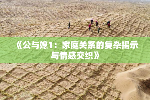 《公与媳1：家庭关系的复杂揭示与情感交织》
