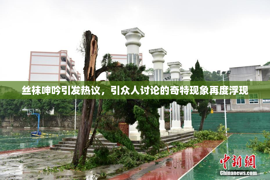丝袜呻吟引发热议，引众人讨论的奇特现象再度浮现