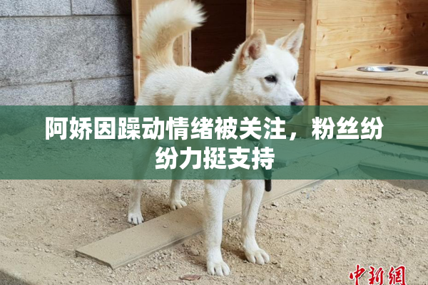 阿娇因躁动情绪被关注，粉丝纷纷力挺支持