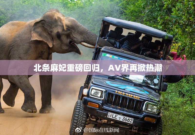 北条麻妃重磅回归，AV界再掀热潮