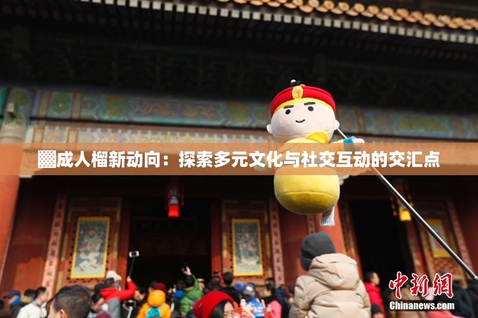 ▓成人榴新动向：探索多元文化与社交互动的交汇点