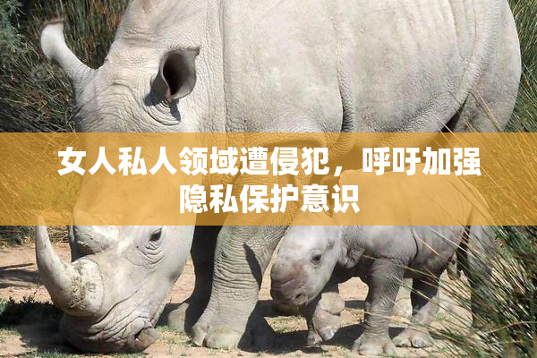 女人私人领域遭侵犯，呼吁加强隐私保护意识