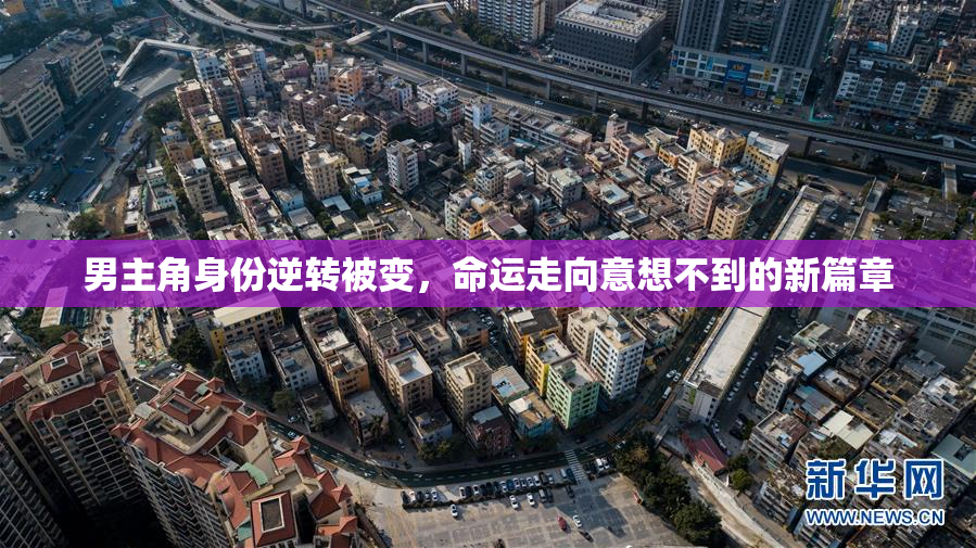 男主角身份逆转被变，命运走向意想不到的新篇章