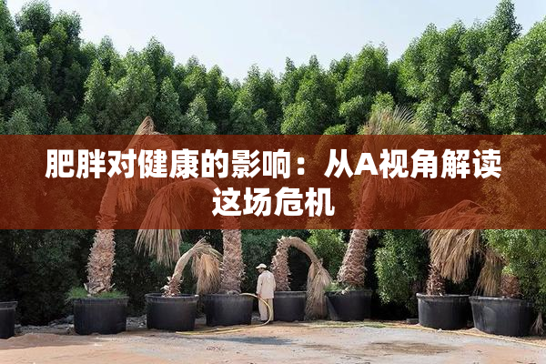 肥胖对健康的影响：从A视角解读这场危机
