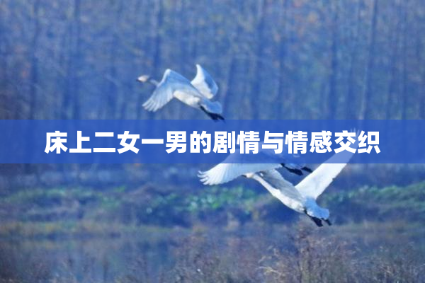 床上二女一男的剧情与情感交织