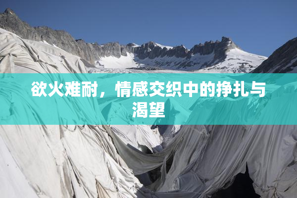 欲火难耐，情感交织中的挣扎与渴望