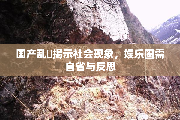 国产乱婬揭示社会现象，娱乐圈需自省与反思