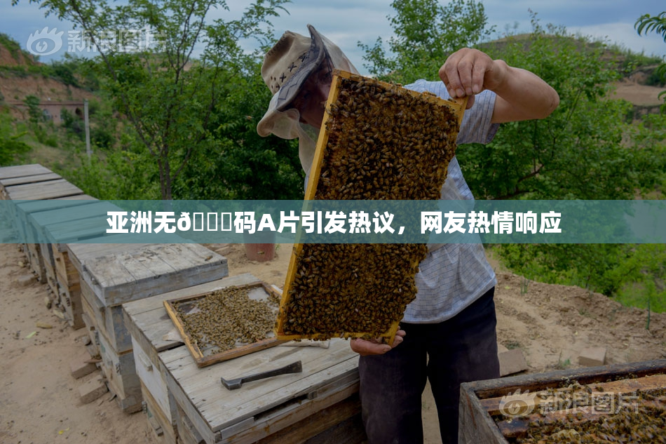 亚洲无🈚码A片引发热议，网友热情响应