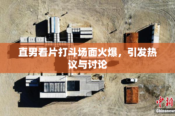 直男看片打斗场面火爆，引发热议与讨论