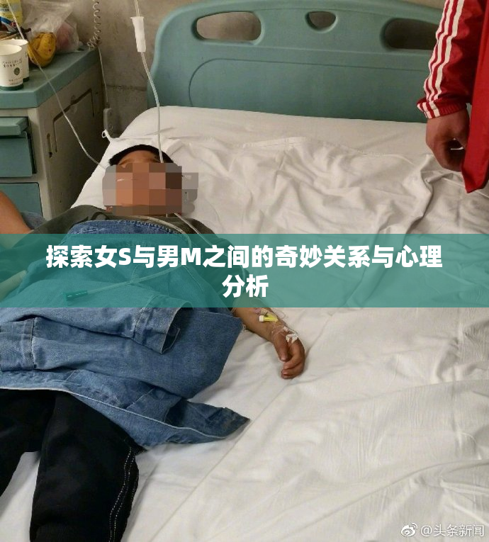 探索女S与男M之间的奇妙关系与心理分析