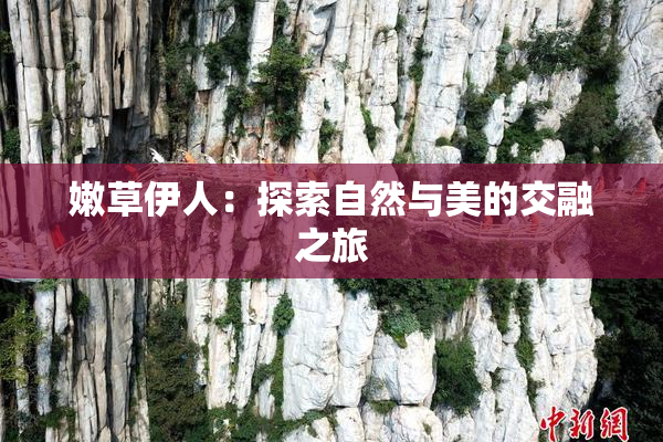 嫩草伊人：探索自然与美的交融之旅