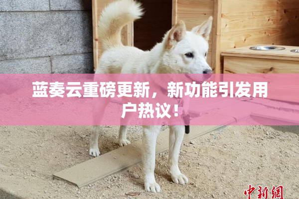 蓝奏云重磅更新，新功能引发用户热议！