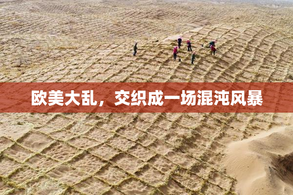 欧美大乱，交织成一场混沌风暴