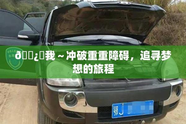 🌿‌我～冲破重重障碍，追寻梦想的旅程