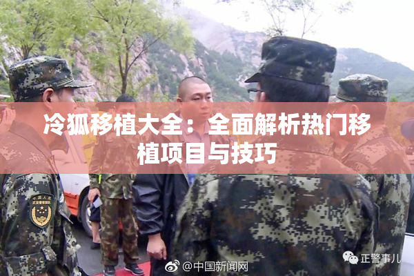 冷狐移植大全：全面解析热门移植项目与技巧