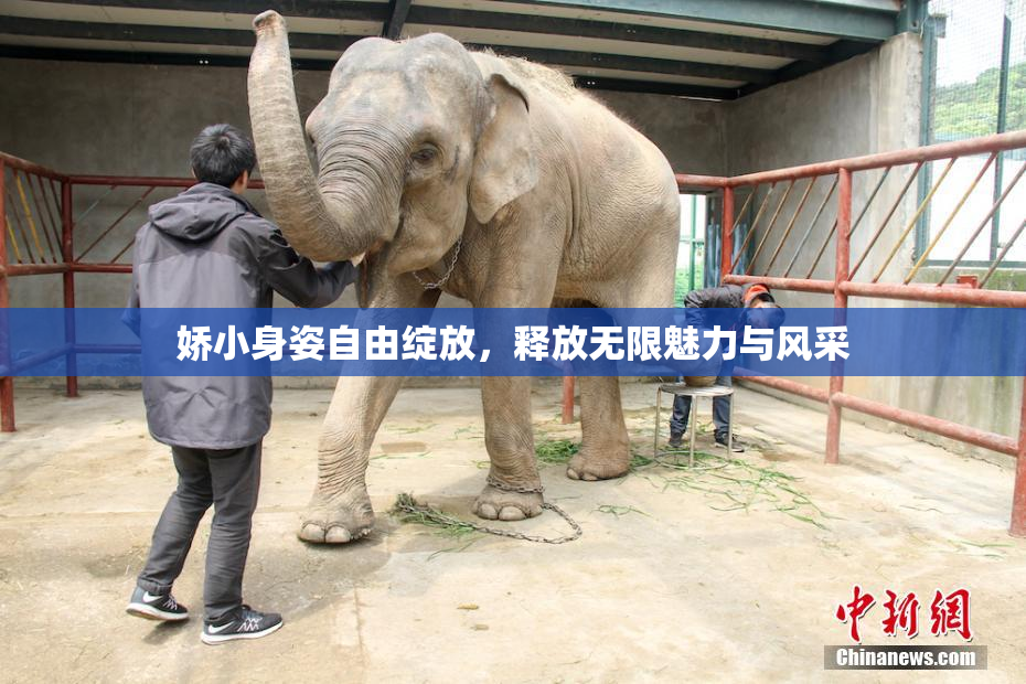 娇小身姿自由绽放，释放无限魅力与风采