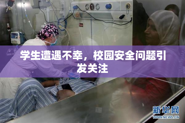 学生遭遇不幸，校园安全问题引发关注