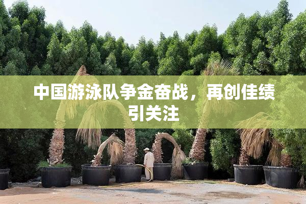 中国游泳队争金奋战，再创佳绩引关注
