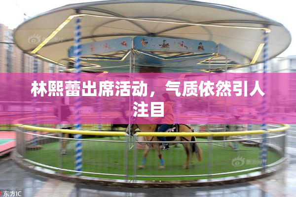 林熙蕾出席活动，气质依然引人注目