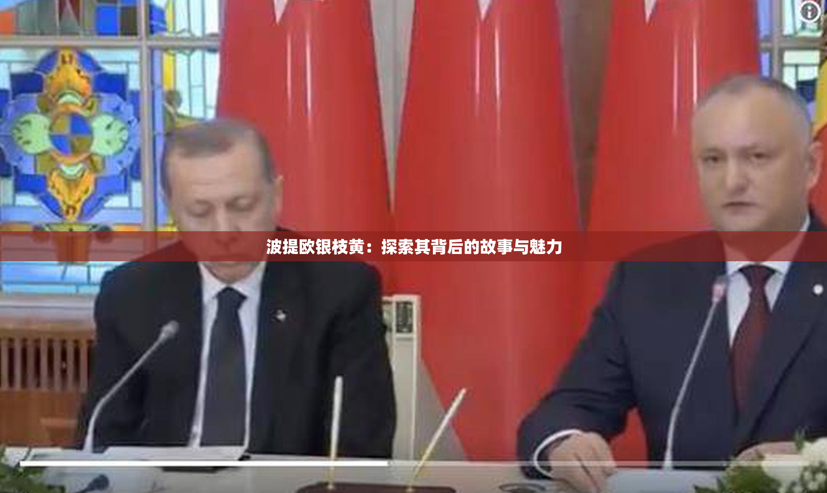 波提欧银枝黄：探索其背后的故事与魅力