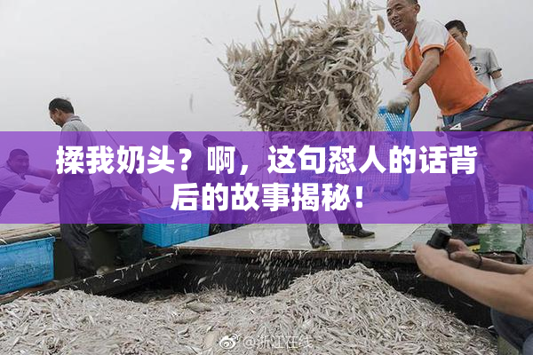 揉我奶头？啊，这句怼人的话背后的故事揭秘！