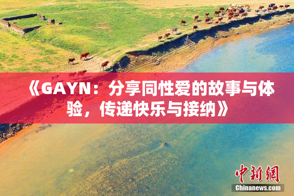 《GAYN：分享同性爱的故事与体验，传递快乐与接纳》