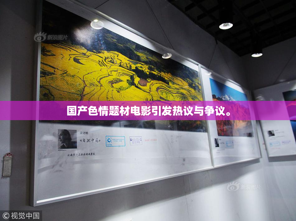 国产色情题材电影引发热议与争议。