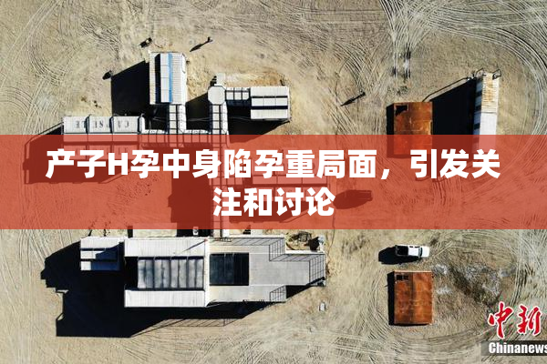 产子H孕中身陷孕重局面，引发关注和讨论