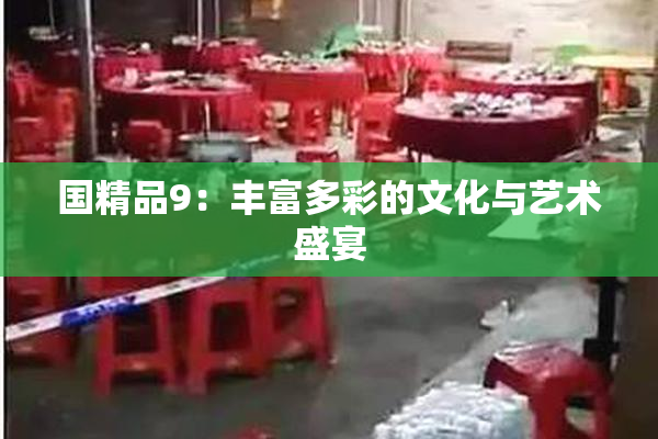 国精品9：丰富多彩的文化与艺术盛宴