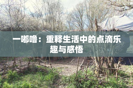 一嘟噜：重释生活中的点滴乐趣与感悟