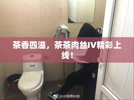 茶香四溢，茶茶肉丝IV精彩上线！