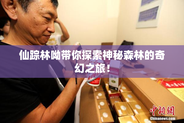 仙踪林呦带你探索神秘森林的奇幻之旅！