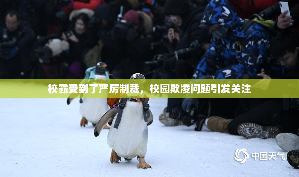 校霸受到了严厉制裁，校园欺凌问题引发关注