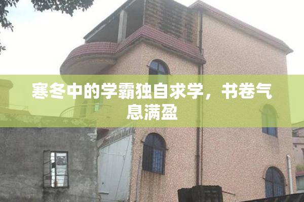 寒冬中的学霸独自求学，书卷气息满盈